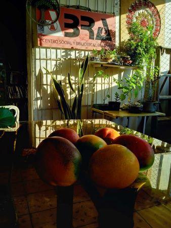 ABRA anarchist social centre in Cuba